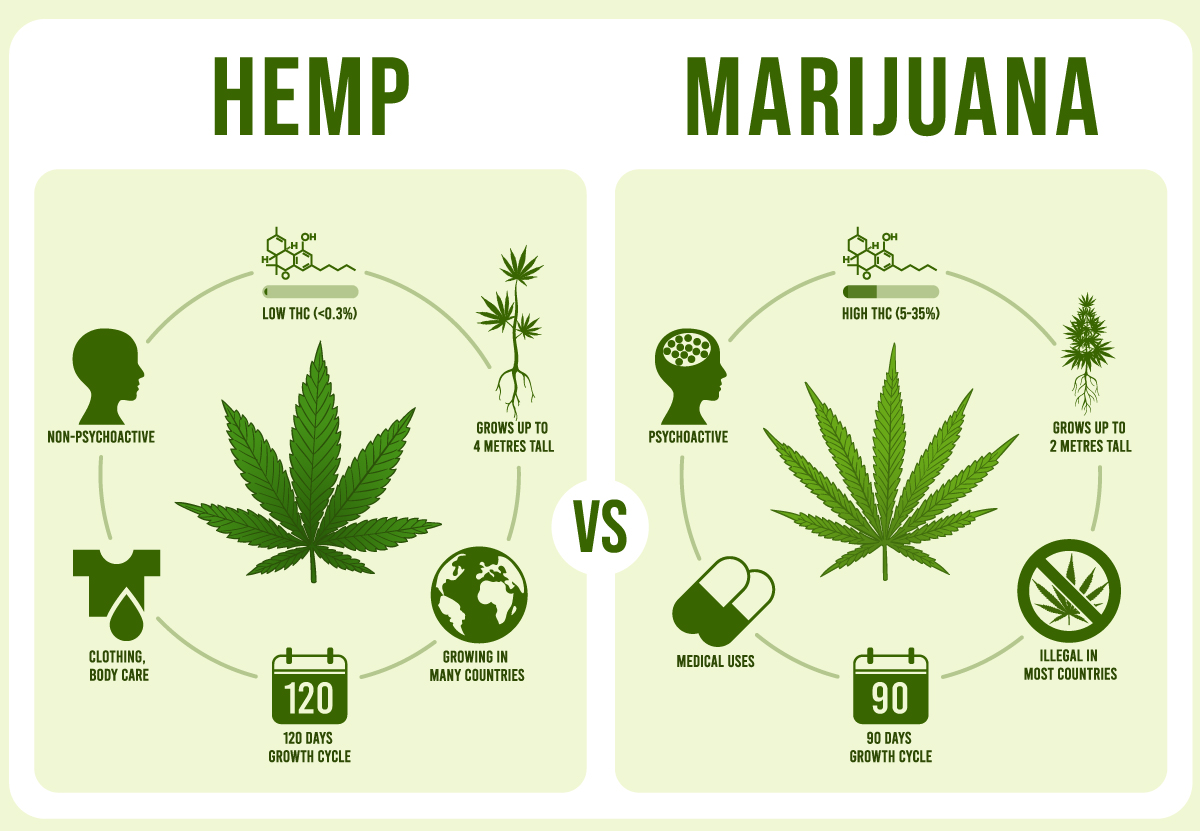 Science-Rite: What Is the Difference Between HEMP Oil, Hemp Seed Oil, and THC Oil