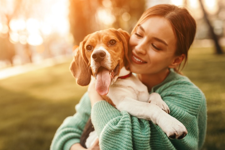 Potential Benefits of Pet HEMP for Your Furry Loved Ones